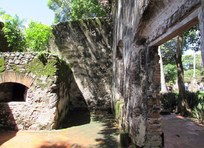 Picture 3 for Activity From Veracruz: Guided Tour of Region's Landmarks and Relics