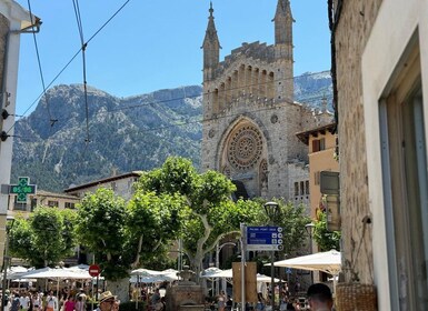 Tour panoramique de la Tramuntana - Soller, Deiá, Valldemossa