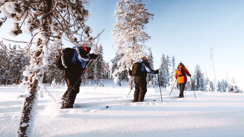 Rovaniemi: Ski Trekking Safari in Lapland
