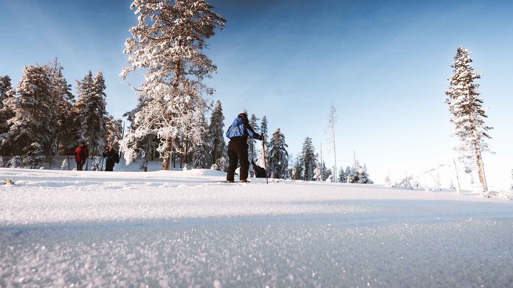 Picture 1 for Activity Rovaniemi: Ski Trekking Safari in Lapland