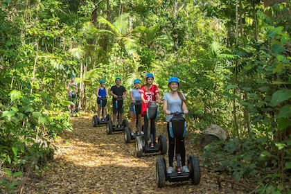 Airlie Beach : Circuit de découverte de la forêt tropicale en Segway