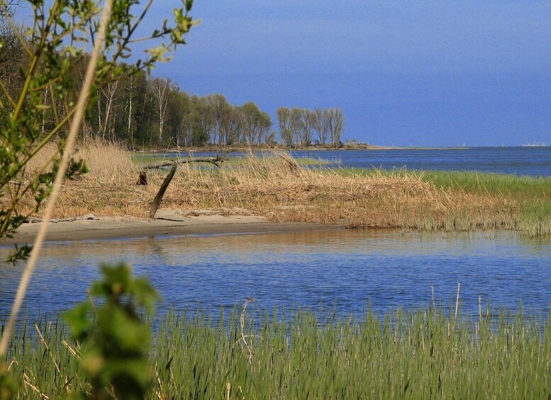 Picture 4 for Activity Copernicus Trail in Frombork Private Tour from Gdansk by Car