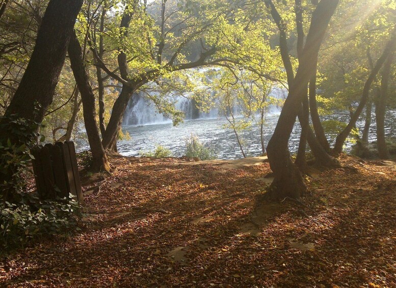 Picture 1 for Activity From Sibenik: Private Skradinski buk waterfall in Krka NP