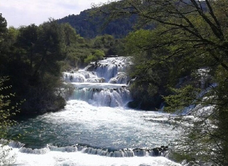 Picture 2 for Activity From Sibenik: Private Skradinski buk waterfall in Krka NP