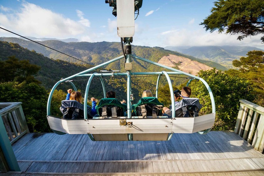 Picture 4 for Activity Nelson: Cable Bay Adventure Park Skywire Experience