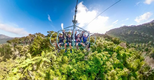 Nelson: experiencia Skywire en Cable Bay Adventure Park