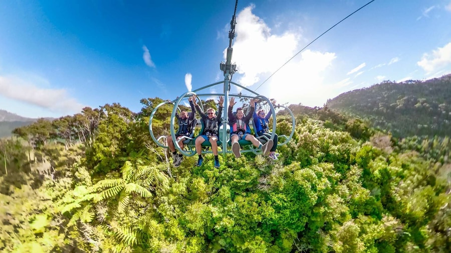 Nelson: Cable Bay Adventure Park Skywire Experience