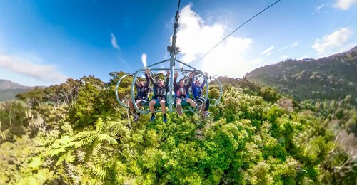 Nelson: Cable Bay Adventure Park Skywire Experience