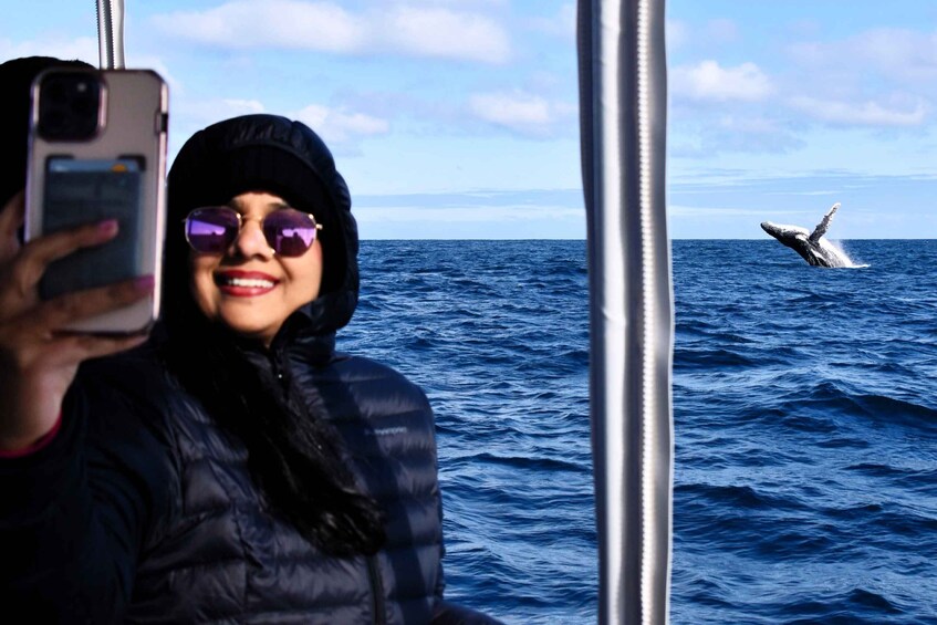 Picture 1 for Activity From Fremantle: 2-Hour Luxury Whale-Watching Cruise