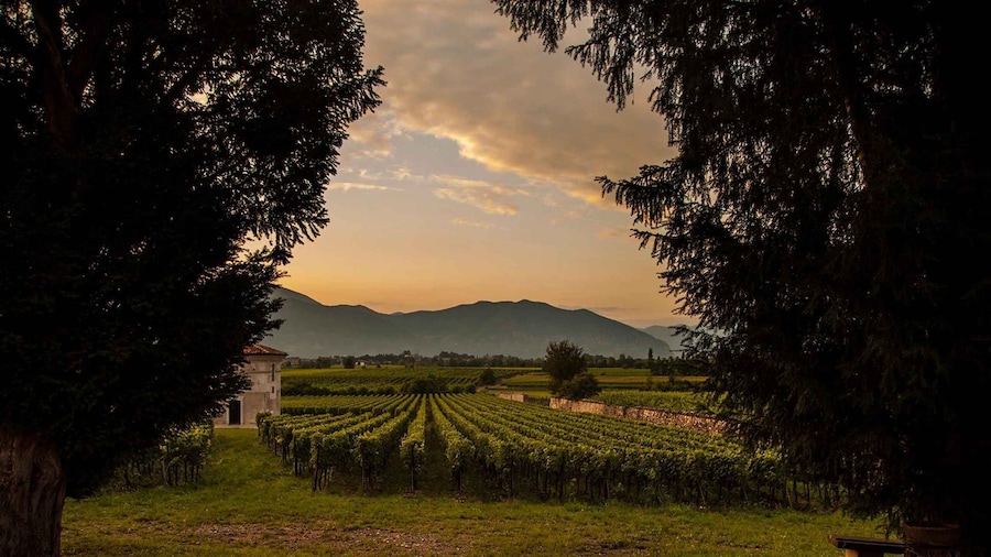 From Bergamo: Winery Tour in Franciacorta with Lunch