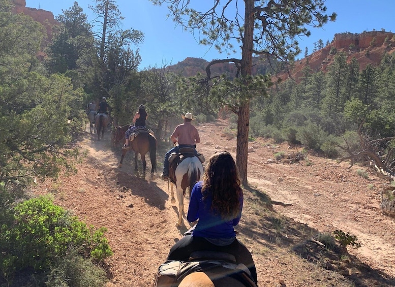 Picture 3 for Activity Bryce Canyon City: Horseback Riding Tour in Red Canyon