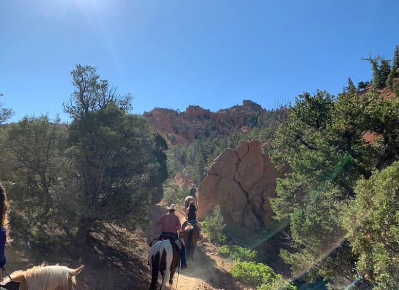 Picture 4 for Activity Bryce Canyon City: Horseback Riding Tour in Red Canyon