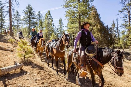 Ciudad de Bryce Canyon: Excursión a caballo por el Cañón Rojo