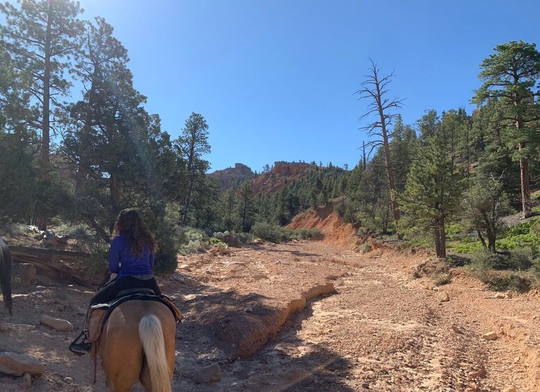 Picture 5 for Activity Bryce Canyon City: Horseback Riding Tour in Red Canyon