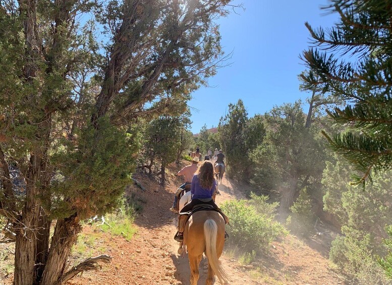 Picture 1 for Activity Bryce Canyon City: Horseback Riding Tour in Red Canyon