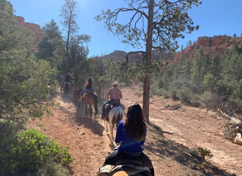 Picture 3 for Activity Bryce Canyon City: Horseback Riding Tour in Red Canyon