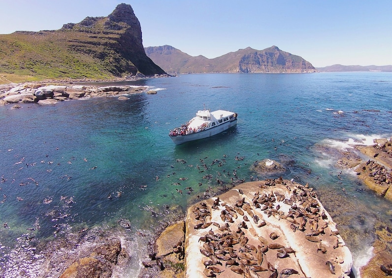 Cargar foto 2 de 10. The Ultimate Cape Town Pass – Unlimited Plus Premium