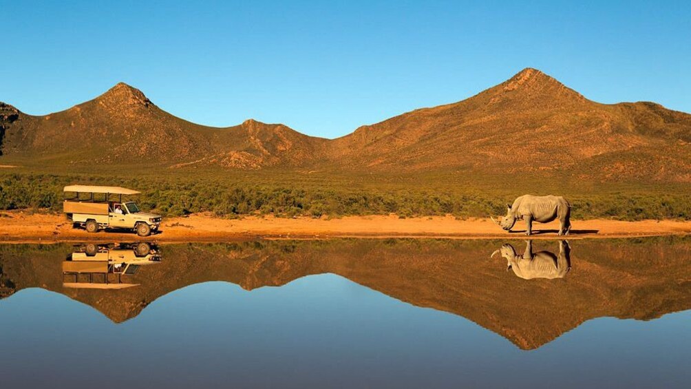 Safari in South Africa