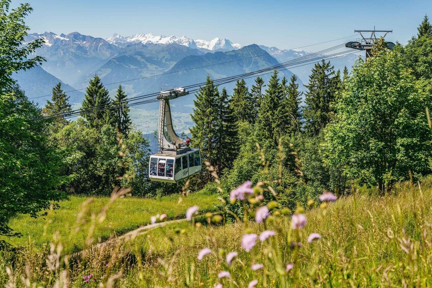 Picture 28 for Activity Vitznau: Mount Rigi Train and Mineral Baths Entrance Ticket