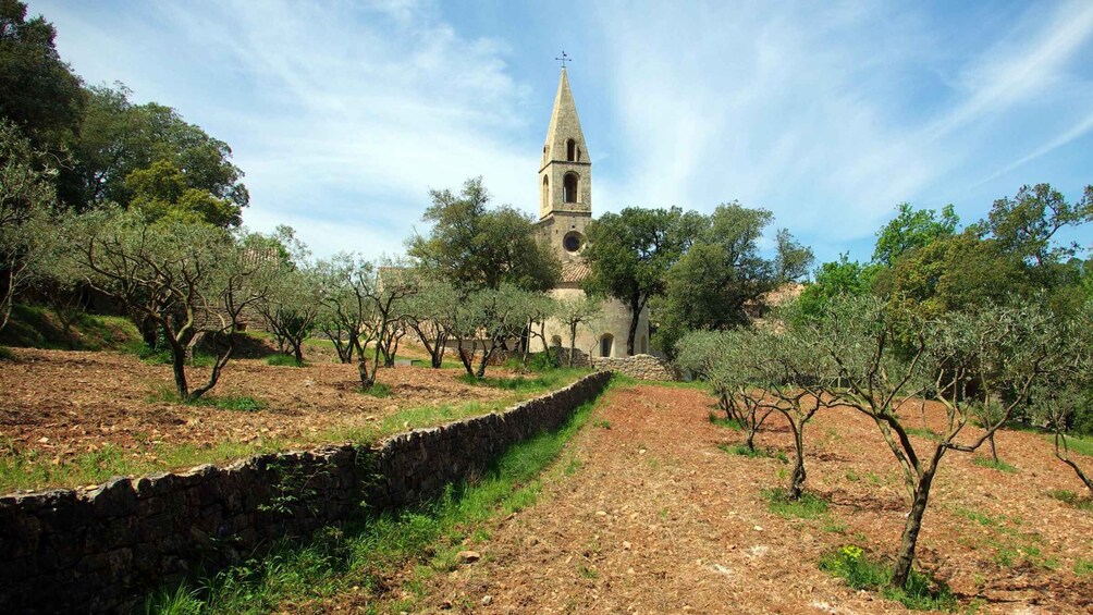 Churches of Provence & French Countryside Private Tour