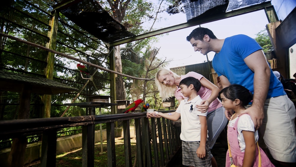 Half-Day Tour to Orchid Garden, Butterfly & Bird Park & Aquaria KLCC