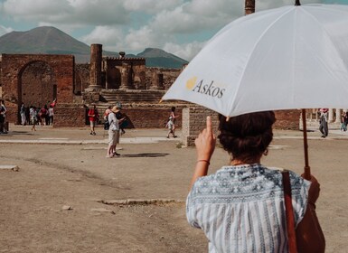 Pompei e Vesuvio: tour salta fila per piccoli gruppi