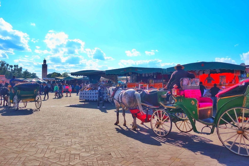 Picture 2 for Activity Marrakech: Private Half-Day City Highlights Tour