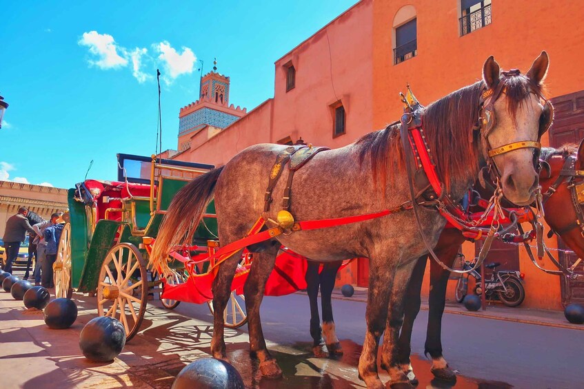 Picture 3 for Activity Marrakech: Private Half-Day City Highlights Tour