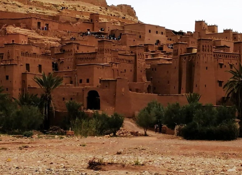 Picture 21 for Activity From Marrakech: Day Trip to Ouarzazate and Ait Benhaddou