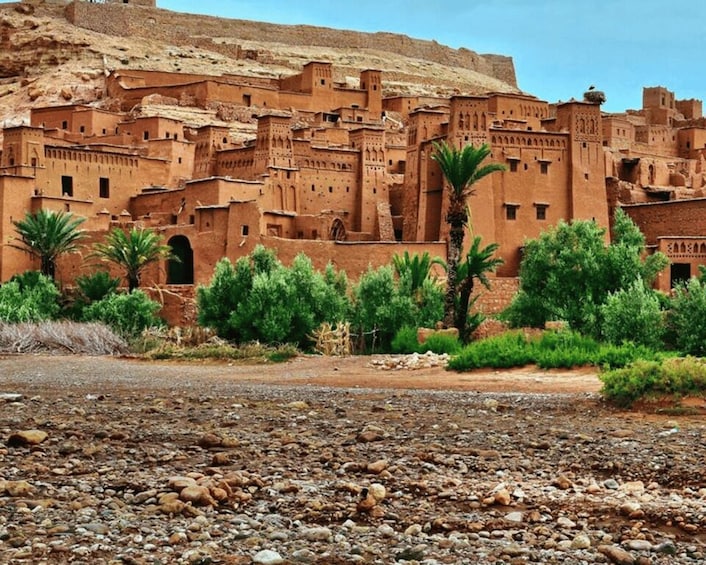 Picture 26 for Activity From Marrakech: Day Trip to Ouarzazate and Ait Benhaddou