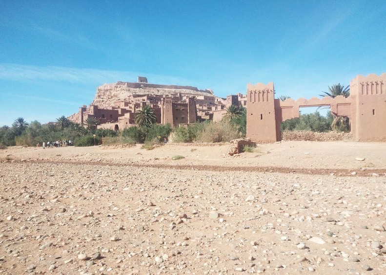 Picture 15 for Activity From Marrakech: Day Trip to Ouarzazate and Ait Benhaddou