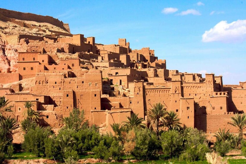 Picture 11 for Activity From Marrakech: Day Trip to Ouarzazate and Ait Benhaddou