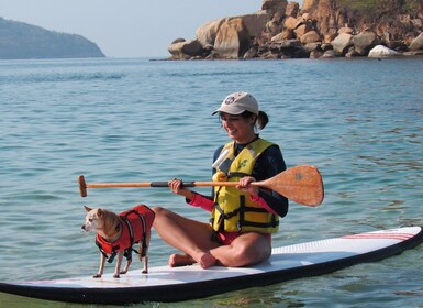 Acapulco Baai 1 Uur Paddle Boarding