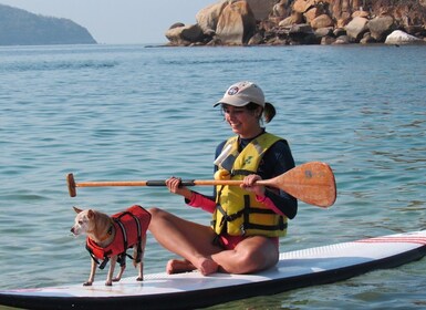 Acapulco Baai 1 Uur Paddle Boarding