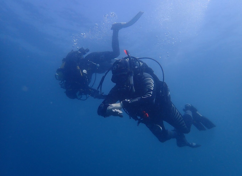 Picture 1 for Activity Albufeira: 2 DIVES TRIP (ONLY CERTIFIED DIVERS)