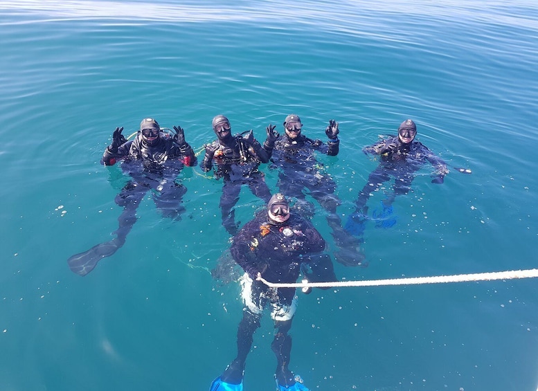 Picture 4 for Activity Albufeira: 2 DIVES TRIP (ONLY CERTIFIED DIVERS)