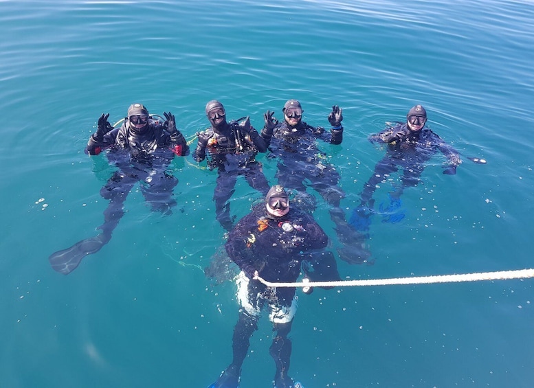 Picture 4 for Activity Albufeira: Certified Divers SCUBA Diving at 2 Dive Sites