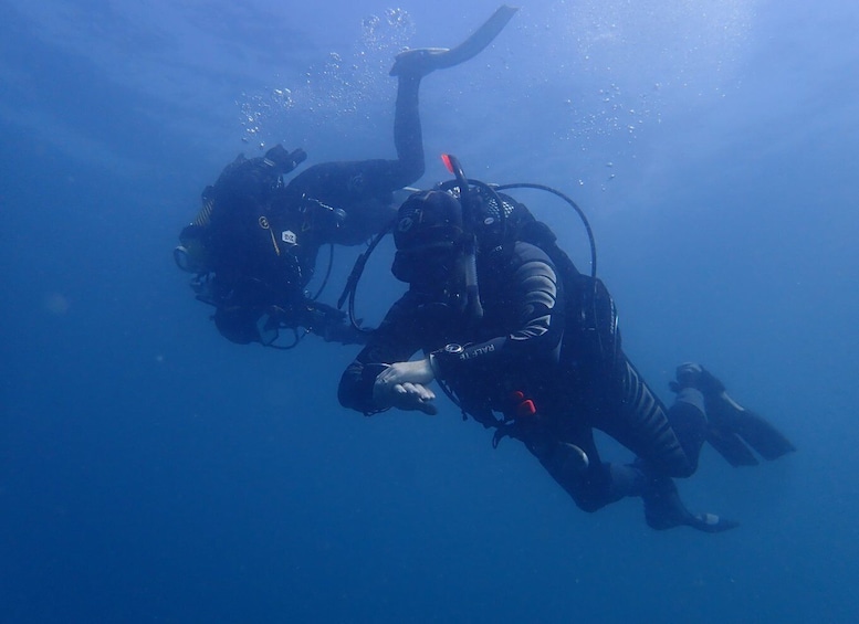 Picture 1 for Activity Albufeira: Certified Divers SCUBA Diving at 2 Dive Sites