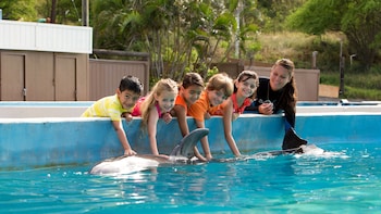 Dolphin Aloha
