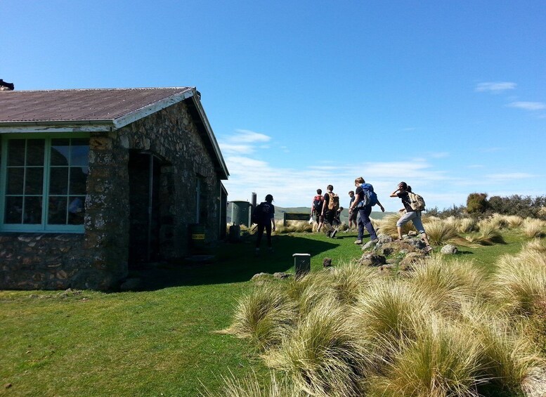 Picture 1 for Activity Christchurch: Packhorse Hut Guided Walk and Scenic Drive