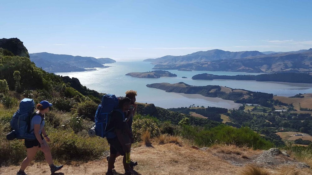 Christchurch: Packhorse Hut Guided Walk and Scenic Drive