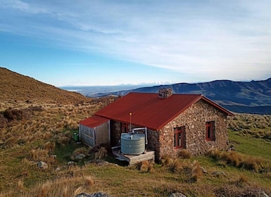 Christchurch: Passeggiata guidata al Packhorse Hut e giro panoramico