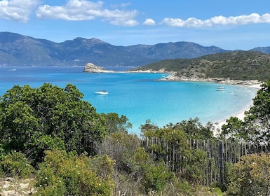 4x4 Agriates Desert and Beach Excursion from Calvi