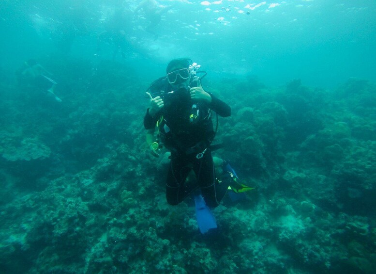 Picture 7 for Activity Cebu: Scuba Diving with Sardines and Pescador Island Snorkel