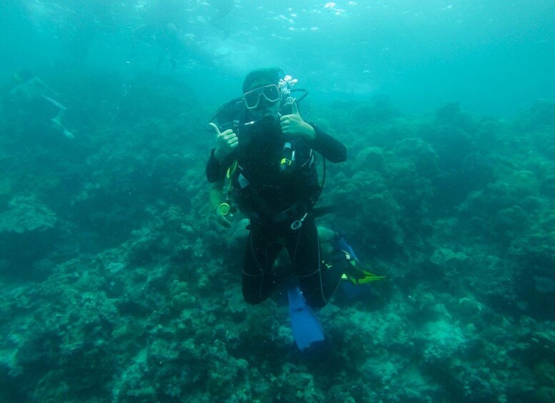 Picture 7 for Activity Cebu: Scuba Diving with Sardines and Pescador Island Snorkel