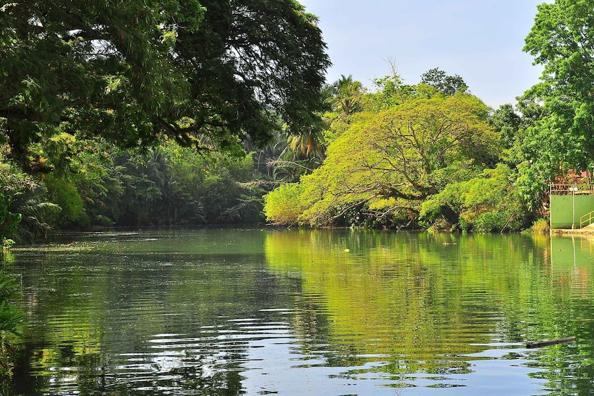 Picture 10 for Activity Bohol: Loboc River Buffet-Lunch Cruise with Private Transfer