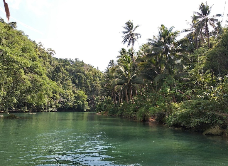 Picture 2 for Activity Bohol: Loboc River Buffet-Lunch Cruise with Private Transfer