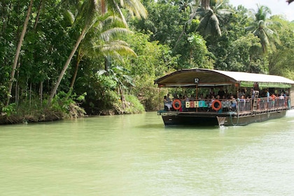 Bohol: Loboc River Buffet-Lunch Cruise with Private Transfer