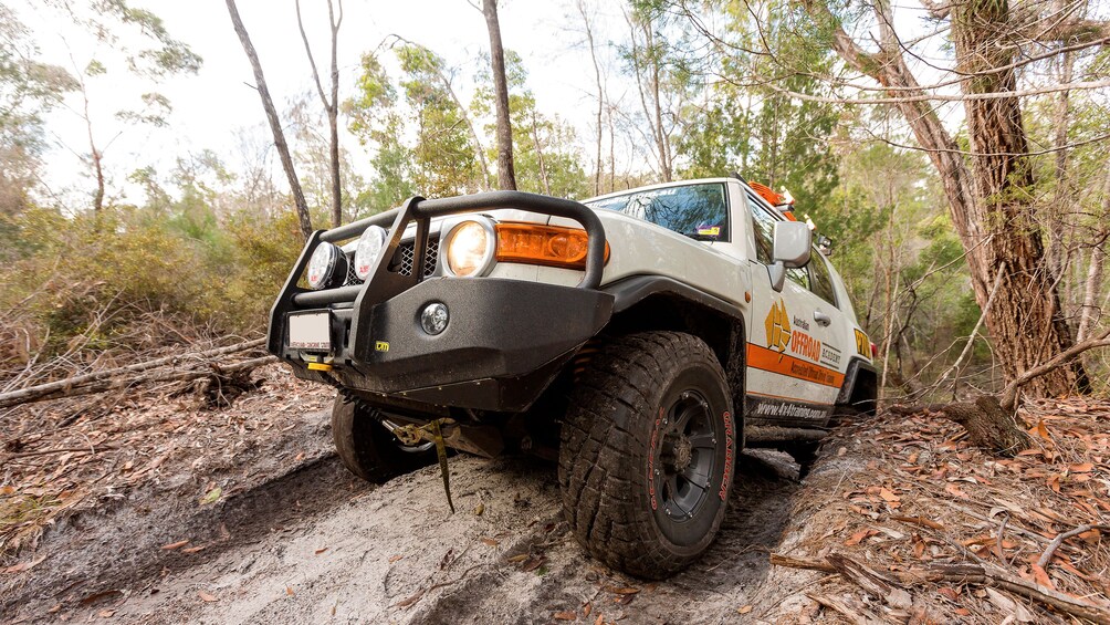 Fraser Island OffRoad Vehicle Training Adventure with Lunch