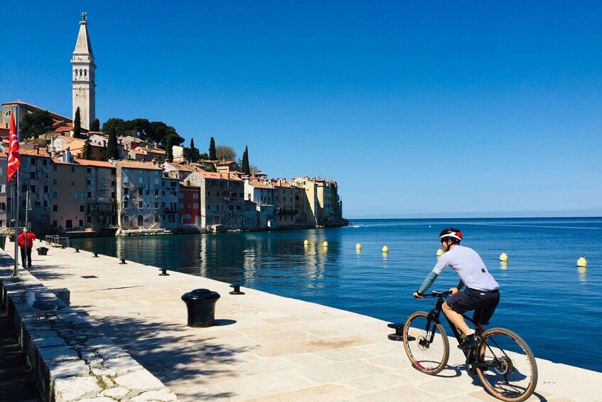 Picture 11 for Activity Rovinj e-bike round tour